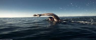 体育运动地板解决方案